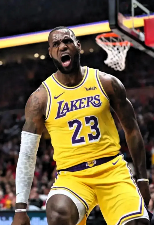 极度打脸了，湖人大战灰熊，5名球员的表现截然不同

1，湖人大当家詹姆斯，联盟顶