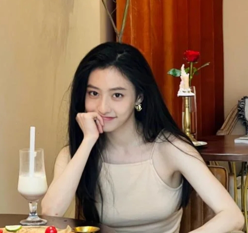 胡连馨的演艺生涯