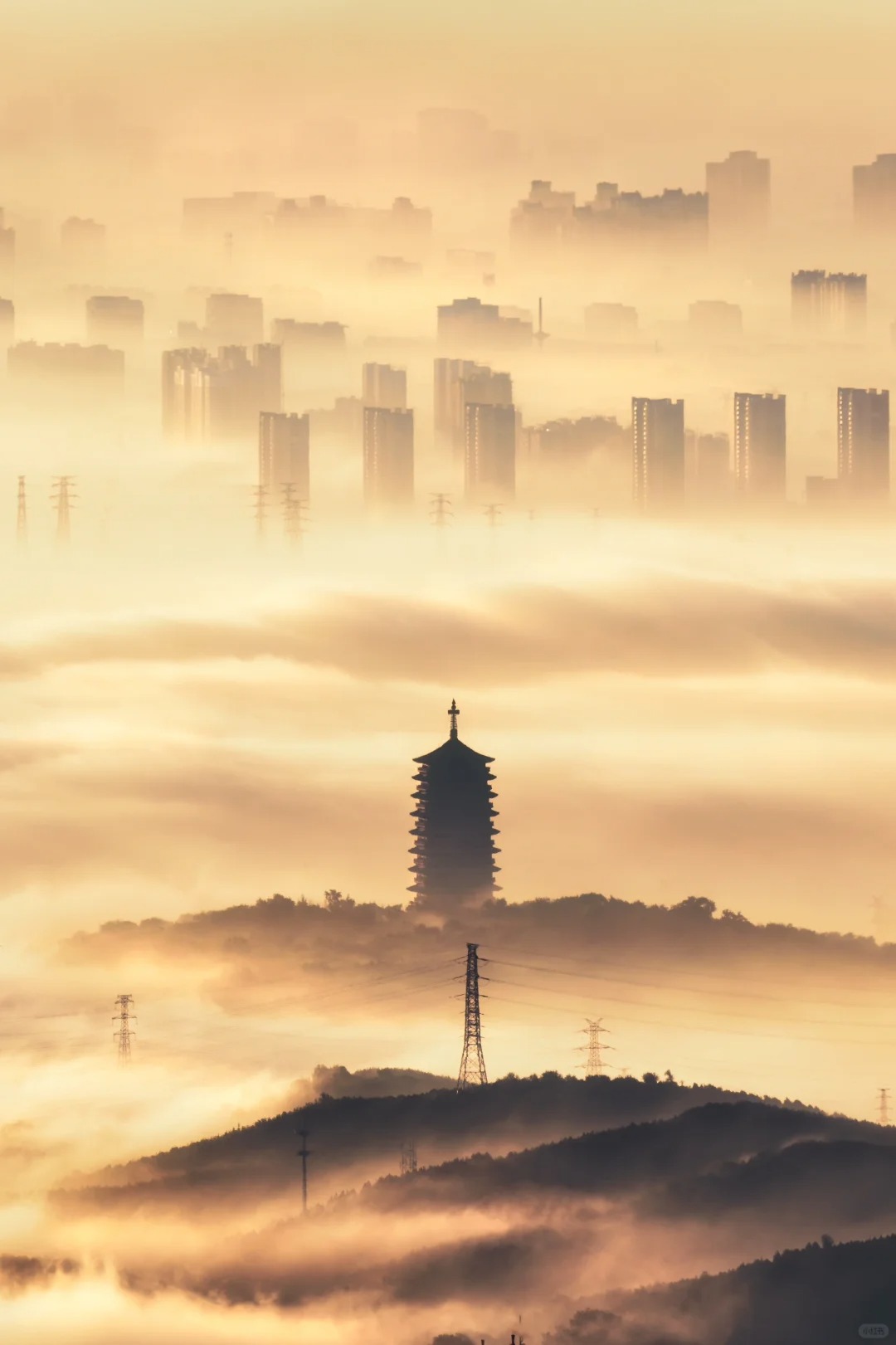 你敢相信这是雨后的北京吗❓（实拍非P图）
雨后的北京，形成了难得的平流雾云海奇观
