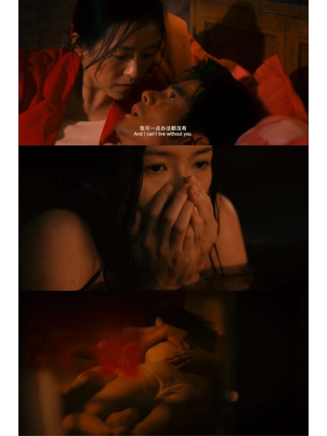 电影推荐《最爱》顾长卫导演