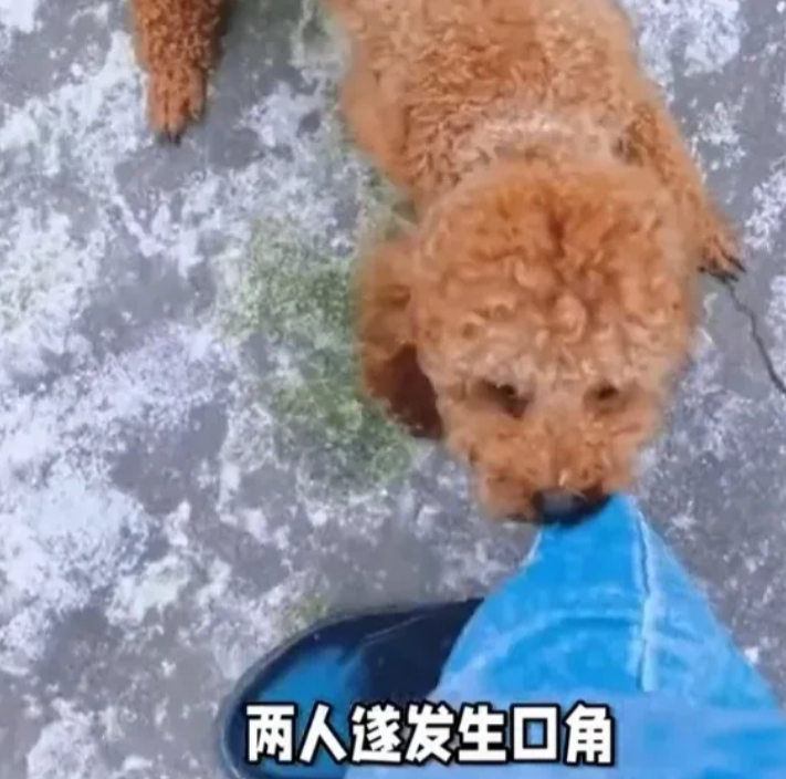 甘肃张掖，女子带泰迪犬去超市，狗子朝一名顾客身上扑了几下。女子不道歉，对方转身踢