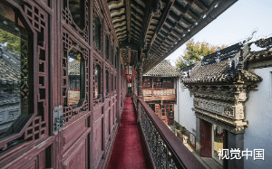 狐族选妃，姐姐走向曾经属于我的花狐狸时，我知道她也重生了