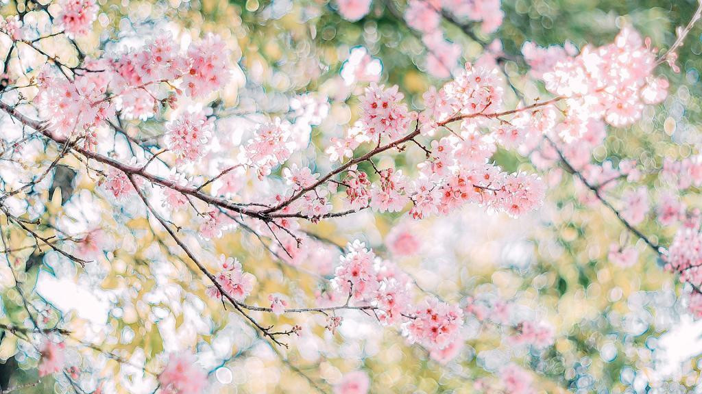 我一丧尸觉醒黄毛系统有何用（张辰顾欣妍）我一丧尸，觉醒黄毛系统有何用？！室内的灯光摇曳不定，投射出几