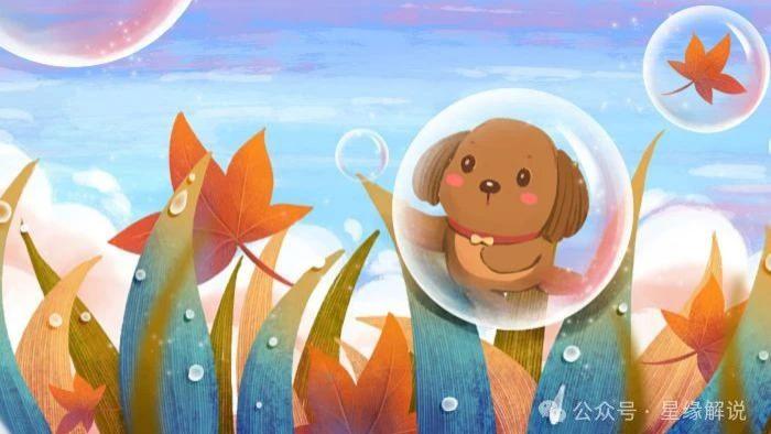 82年属狗在2024年有一劫， 82年属狗人2024年有什么劫难