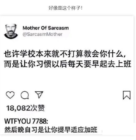 好像是这个样子