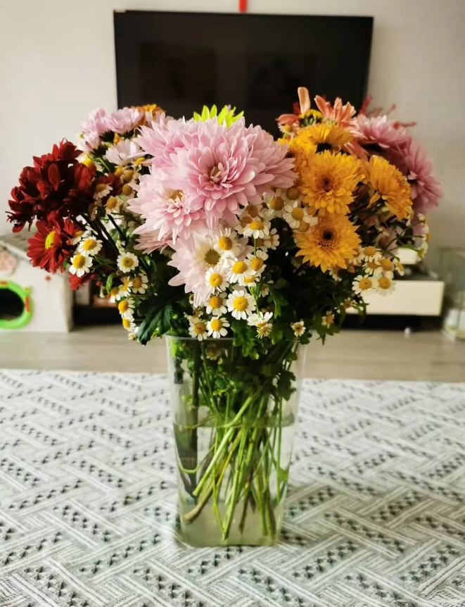 我公公兄弟两个，我公公排行老二，今年快80岁了。

婆婆年轻时候，和我公公的大嫂