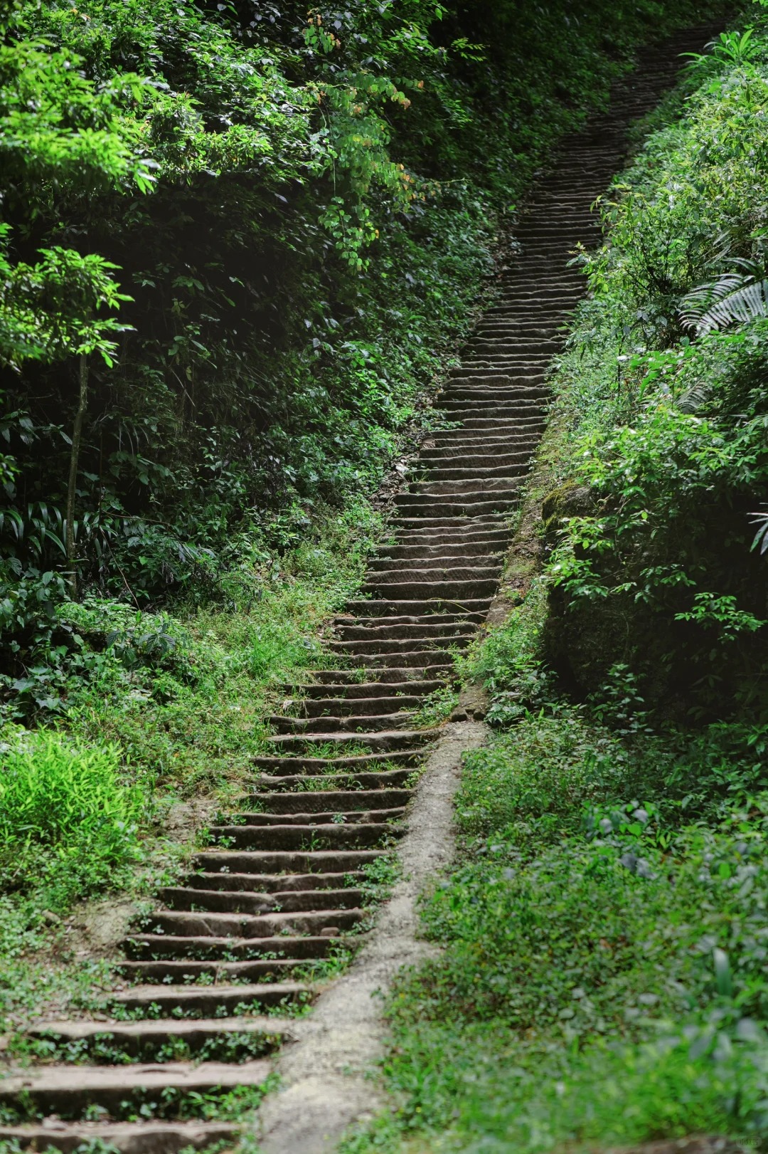 成都1h🍃几乎没人知道的宝藏山野徒步路线㉑
🌈你们好呀，我是爱徒步爱分享小众