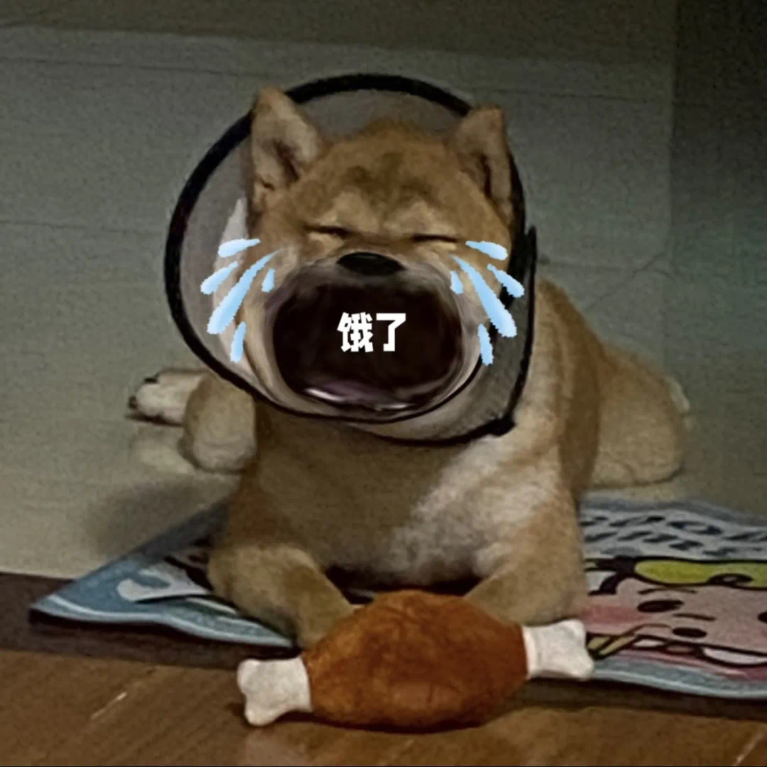 叽里咕噜说什么呢？