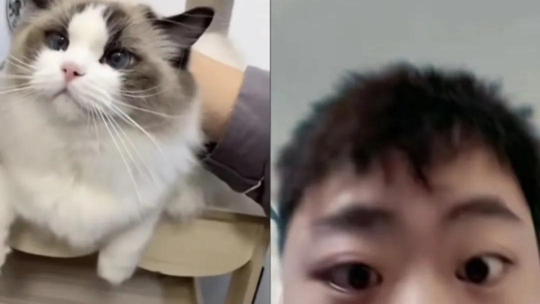 怪不得都说猫随主人呢，啊这! 怎么一家子连猫全都是对眼啊?