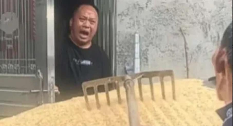 心疼老爸干农活，喉咙都要喊破了！