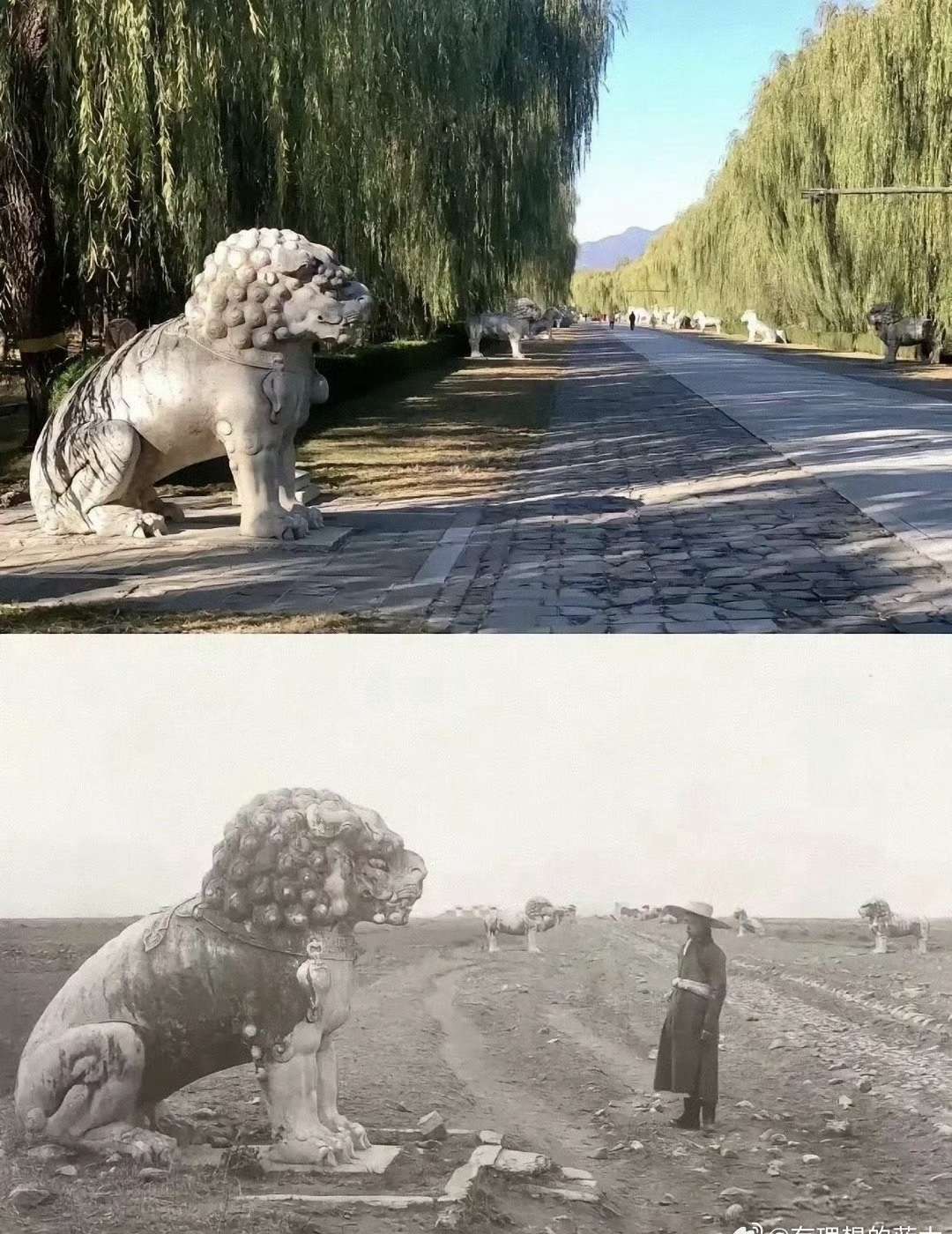 很多人不理解古代饥荒怎么饿死人的，挖点野草充饥也不至于。
