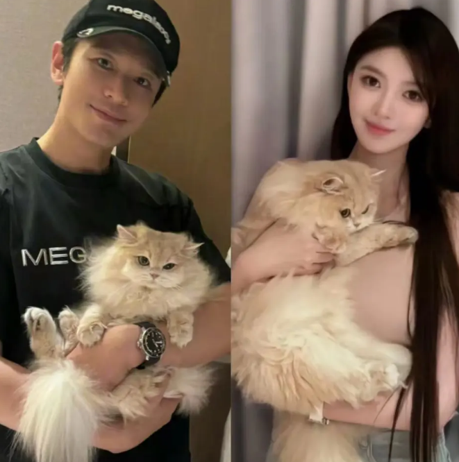 因为官宣了叶柯，黄晓明最近一直在风口浪尖上，被质疑眼光差和叶柯是一类人。
身心俱