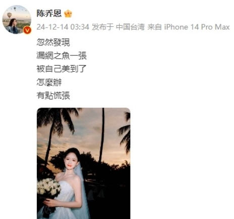 陈乔恩晒出婚纱照表示被自己美到了，永远都是最美最幸福的Joe，要一直幸福