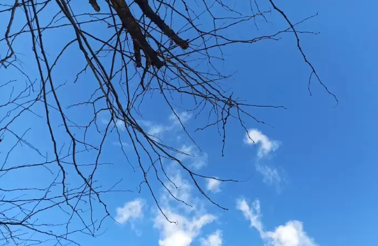 被我们领导骚扰之后，我想了很多，觉得发生这种事，是不是因为我自身有很大的问题，才