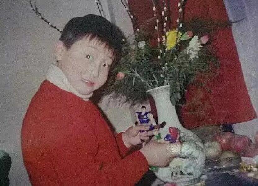 李泉的演艺之路