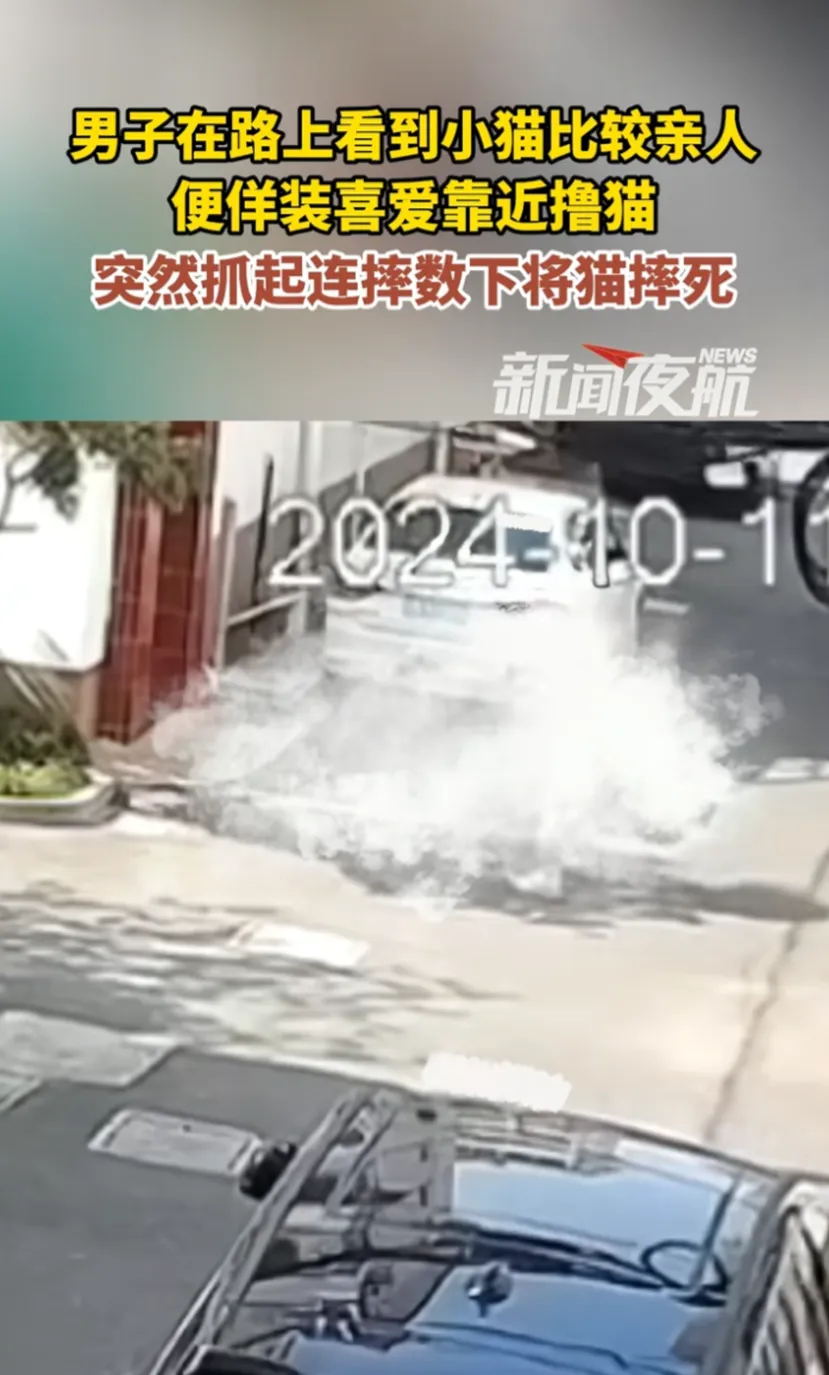 苏州男子当街摔死小猫引众怒
