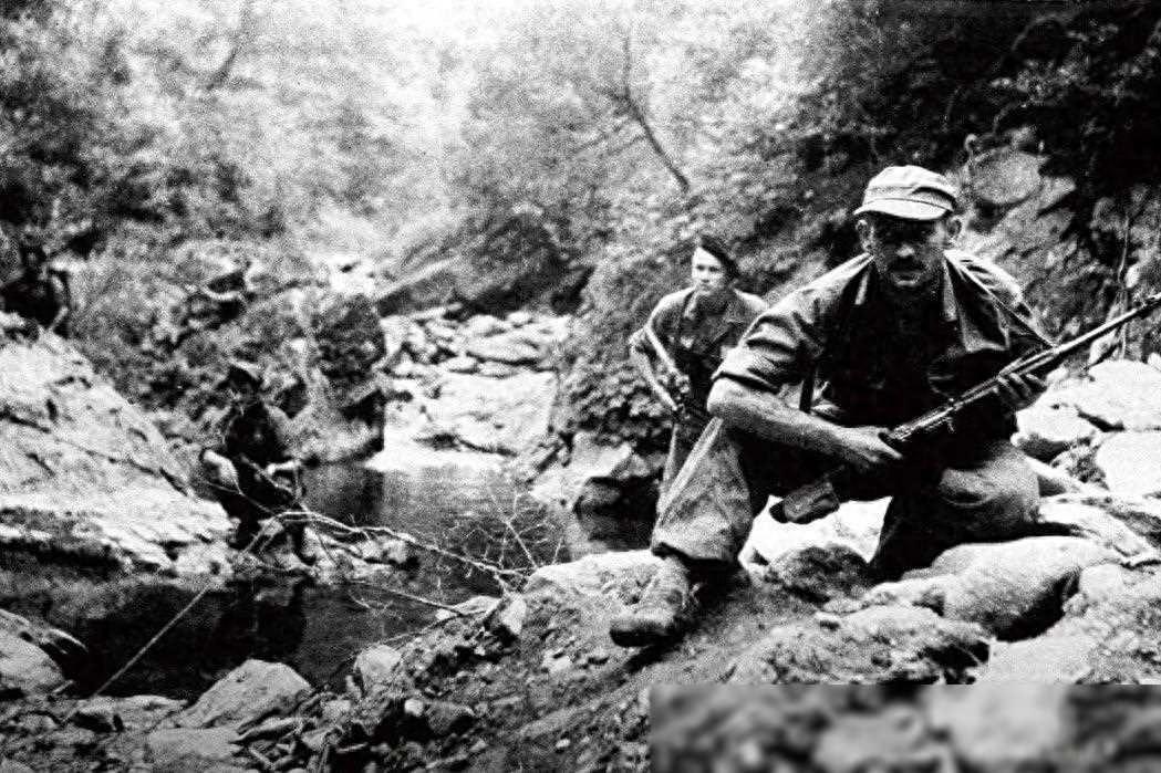 法国人评价：中国打仗才是真流氓，法国外籍佣兵团一夜失踪400人，这种评价是从何而