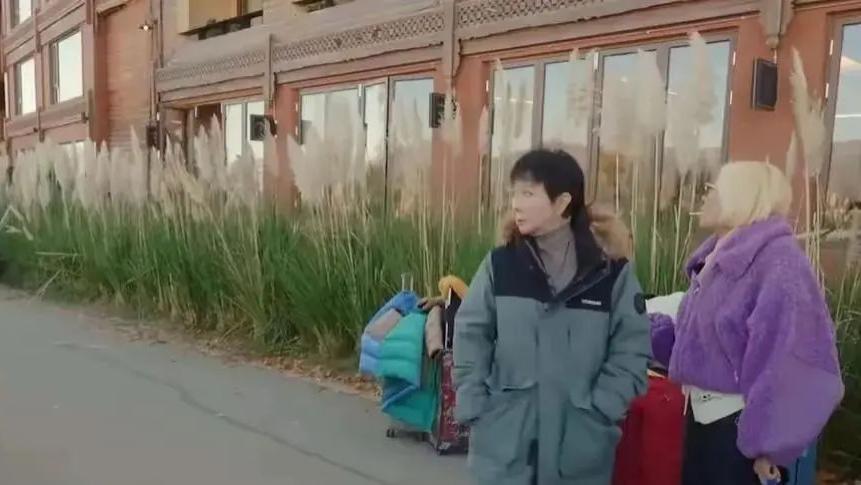李小冉泪洒当场，深情道歉刘晓庆背后的真相是这样