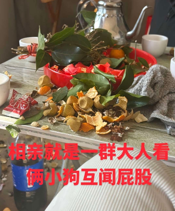 相亲就是一群大人看俩小孩互闻屁股。