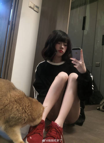 运动系 ​