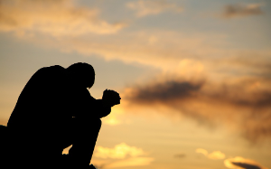 舔了她七年，她还是不把我放在眼里，我不舔了，她却慌了。