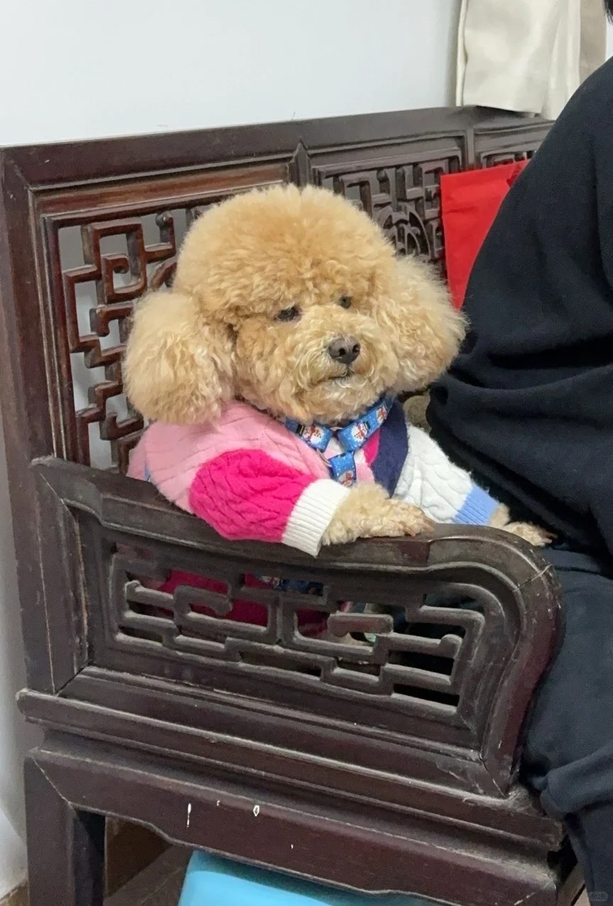 离休老干部 在听工作汇报？？