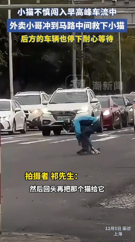 有善心的外卖小哥！

在上海的一个街头，一只可爱的小猫就这么突然闯入路中间，正值