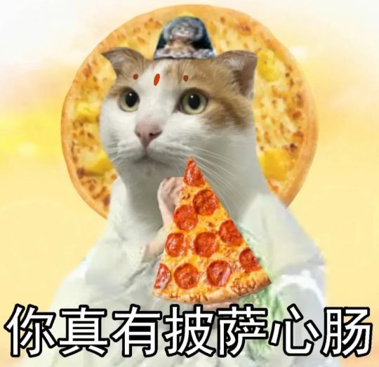你会用到的猫咪表情包