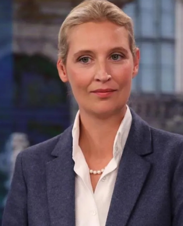 德国魏德尔在平安夜演说，支持率从28%直接飙升到了47%左右，说明魏德尔说出了民