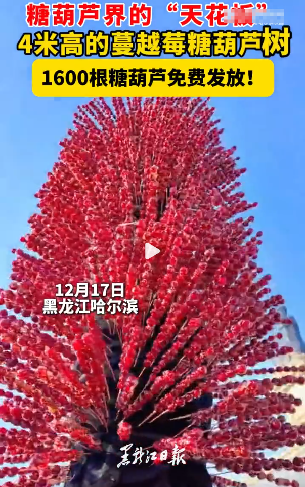 在糖葫芦的世界里，出现了一棵令人惊叹的“天花板”之作——一棵高达4米的蔓越莓糖葫