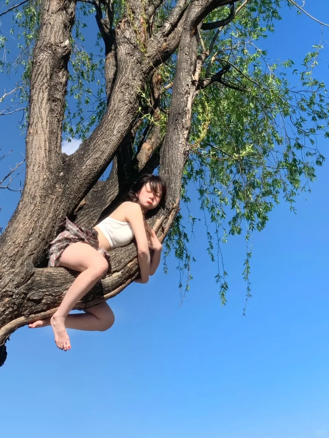 年轻就是好 倒头就睡
越靠近自然越漂亮（逐渐🐒化）