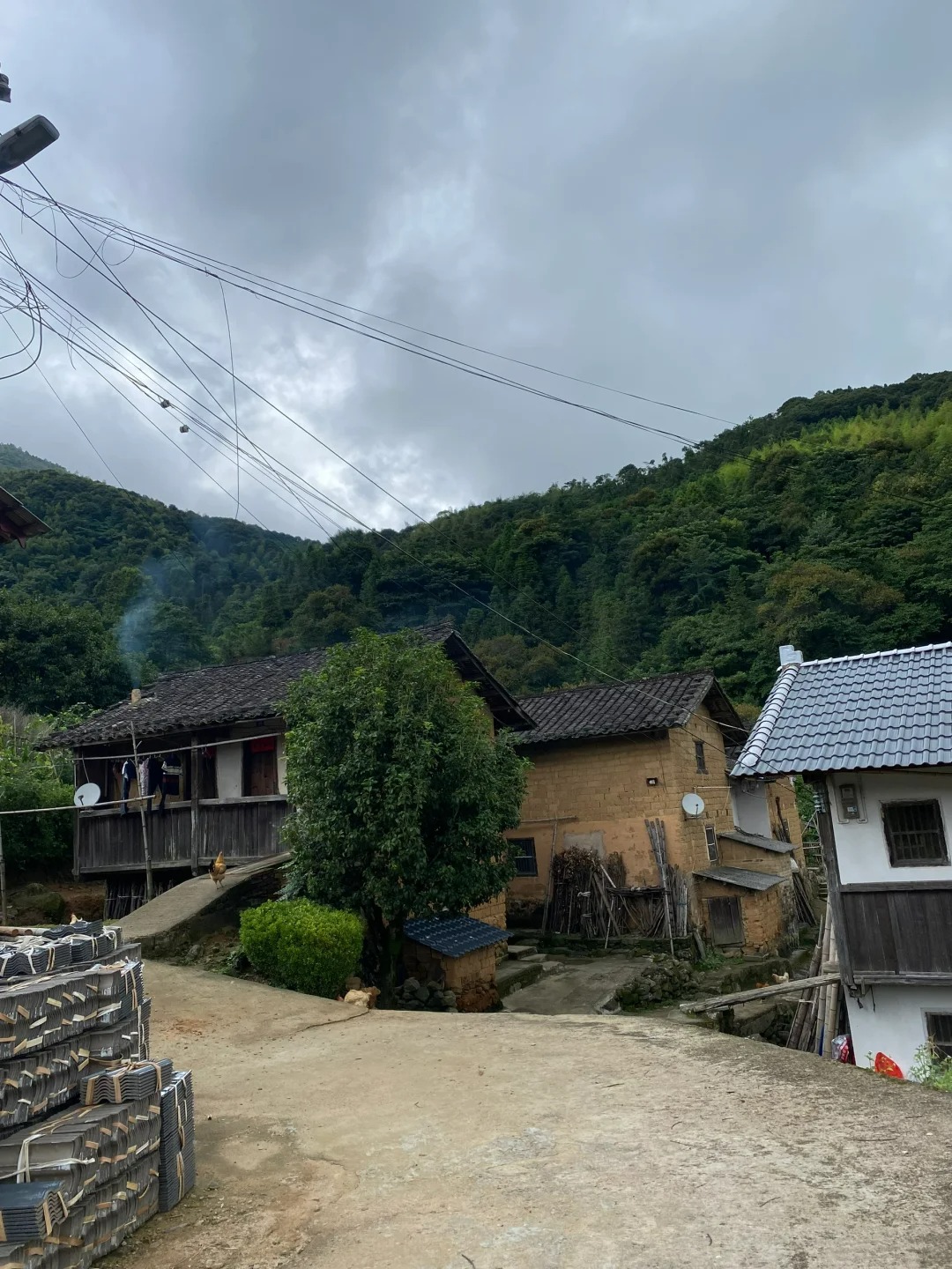 我敢打赌，30年后的农村会是这样：一半是孤寡老人，一半是白发苍苍的老年人，年轻人