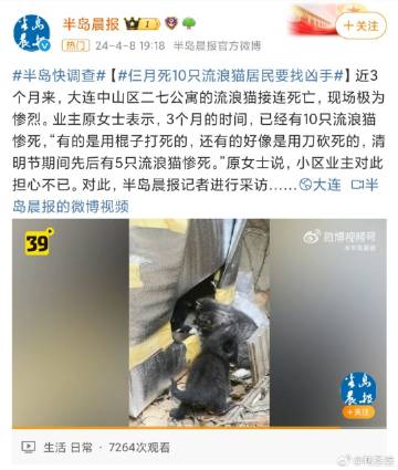 看到3只七个月大小奶猫的时候真是泪目
它们还那么小，没感受过这个世界的善意，反而