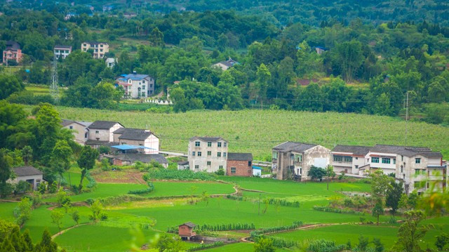 老公生意失败，我决定今年不回家过年！当晚，大姑姐就找上门来了