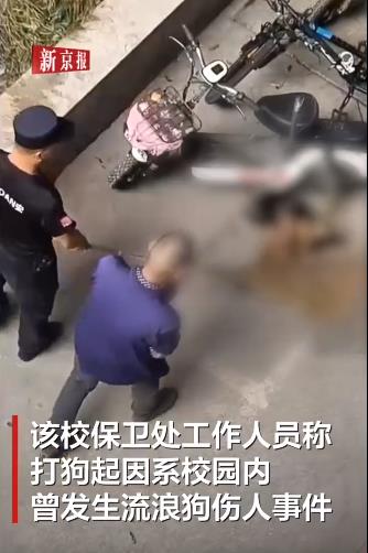 两高校保安打死流浪狗被停职调岗