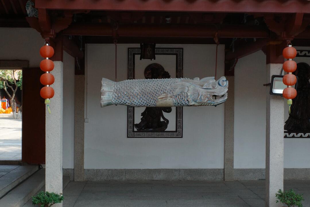 在泉州这座世遗小城，散步也是一种技能