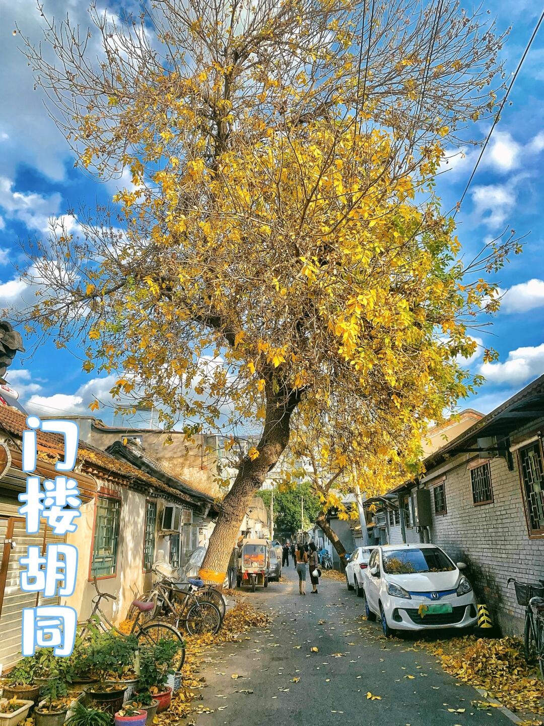 city walk中发现的宝藏胡同，知道的人真不多