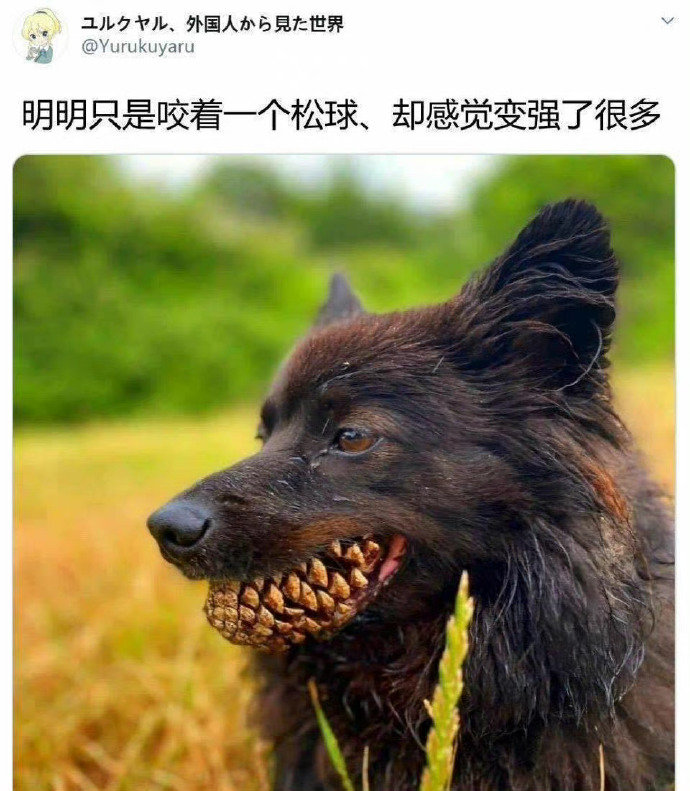 那些看一眼就回不去的照片