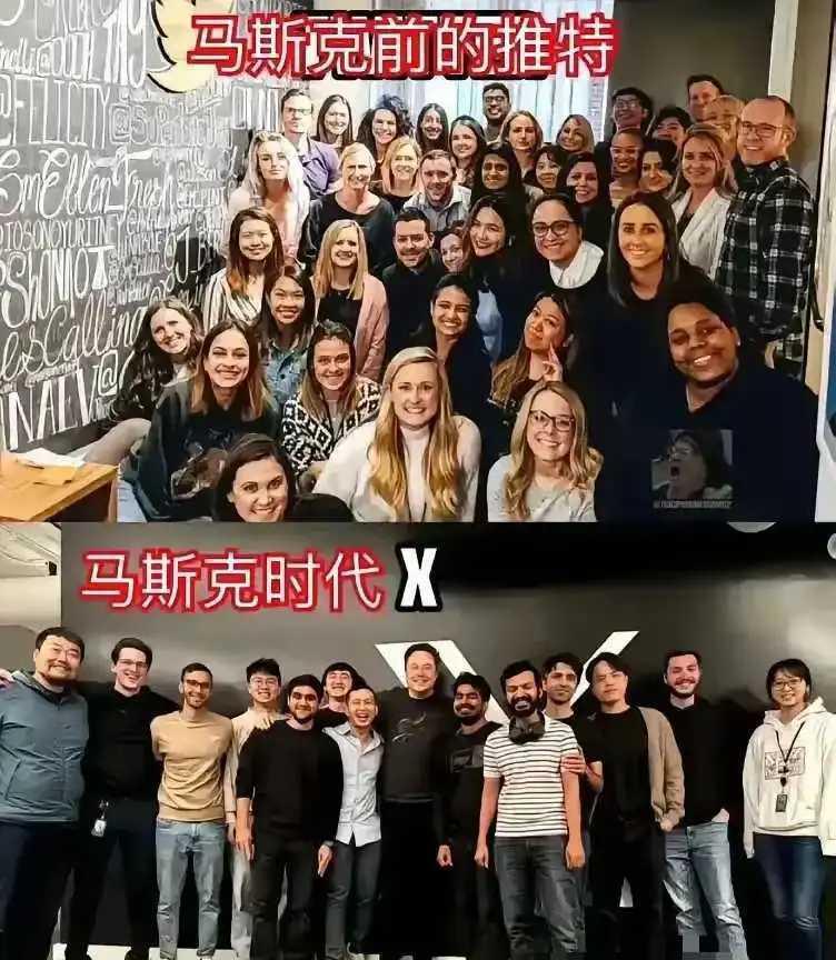 为什么都没有女同事了？
