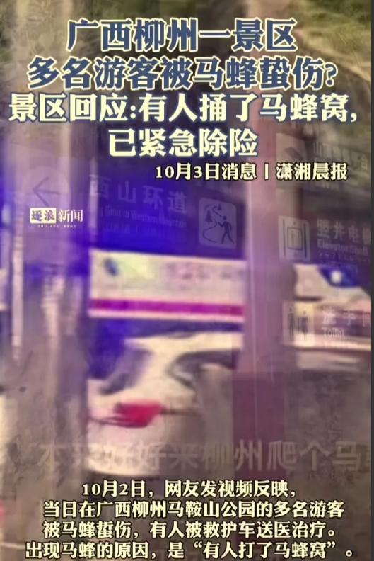 有句话叫“捅了马蜂窝”，柳州马鞍山公园就有人捅了马蜂窝，被马蜂追着蜇！
10月2