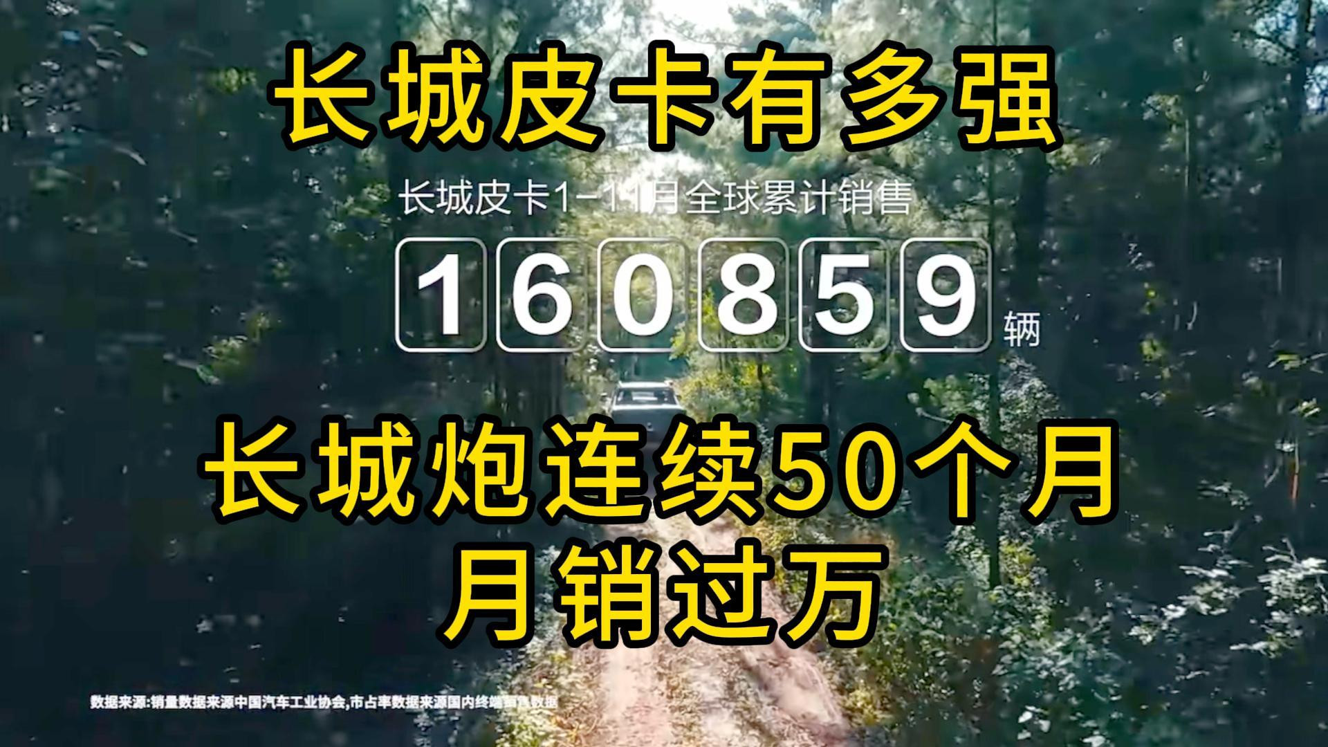 长城皮卡有多强？长城炮连续50个月月销过万