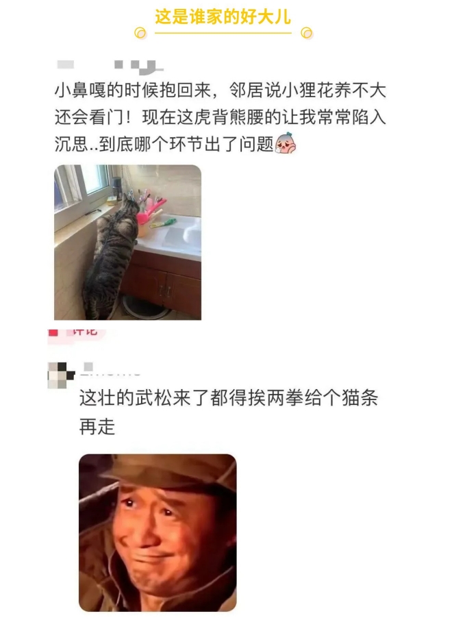 这是谁家的好大儿