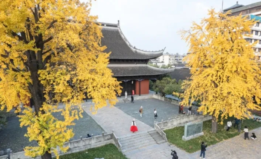 我哥来我家诉苦说，他儿媳妇这几天闹着要他们搬过去和她们住一起，好给她们照顾孩子，