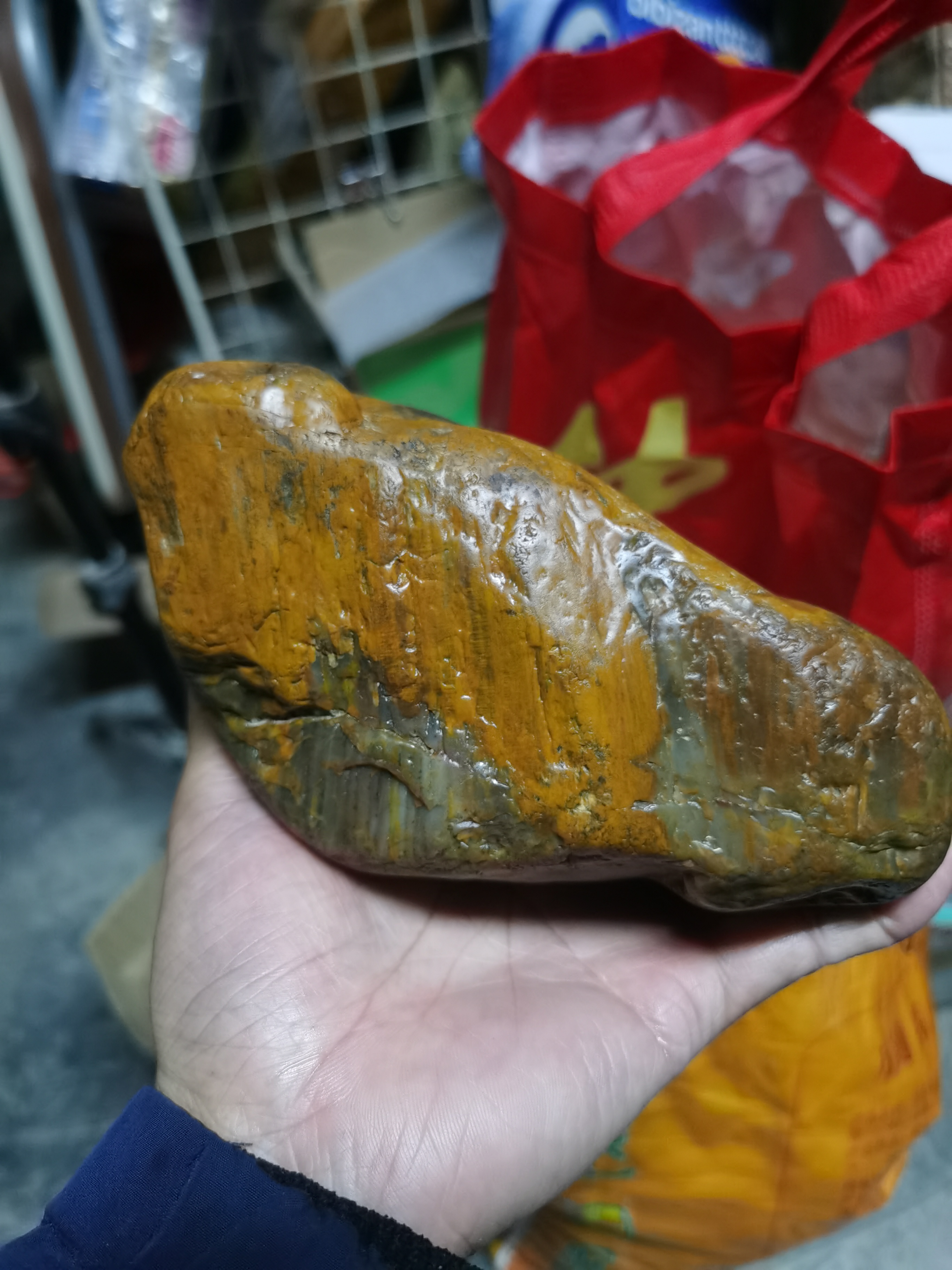 树化玉一种令人着迷的石种