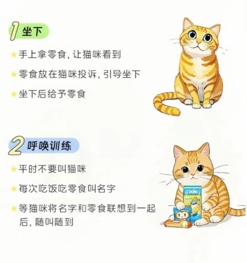 想拥有一只黏人精猫猫？社会化训练早做好！

猫咪在1岁之前，可别忘了做好社会化训