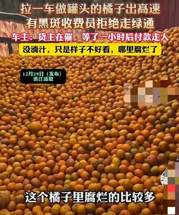 闹大了！浙江涌泉，男子拉了一车橘子过收费站，收费站工作人员检查后，发现有些橘子已