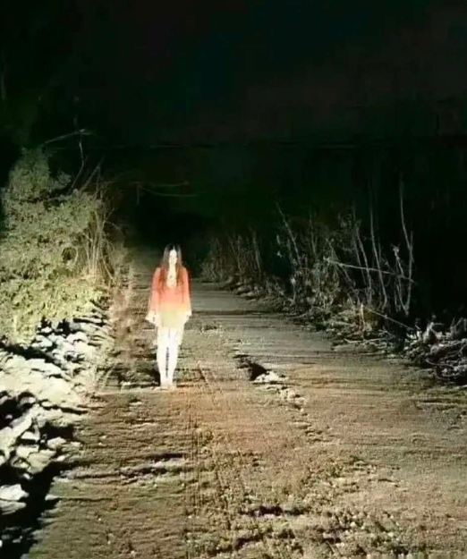 大半夜开车遇到这种情况你会怎么办？