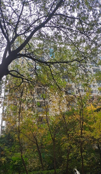 真是人生无常，世事难料。我家楼上邻居大哥，才44岁，半夜说后背疼，天不亮人就没了