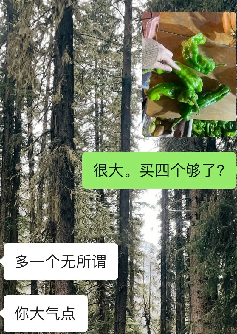 关于男朋友还在坚持让我买菜这件事
一年多了
男朋友还在坚持让我买菜
我也始终坚持
