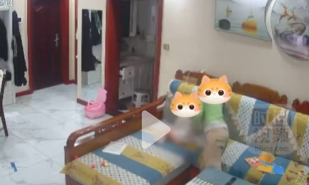 地震前男孩边哭边把妹妹抱到桌下